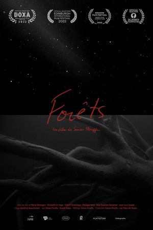 Forests's poster