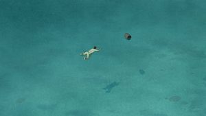 The Red Turtle's poster