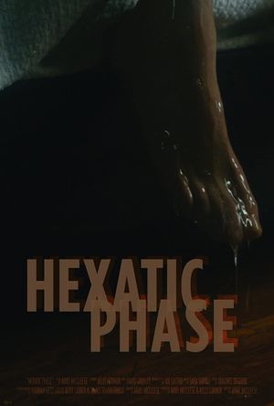 Hexatic Phase's poster