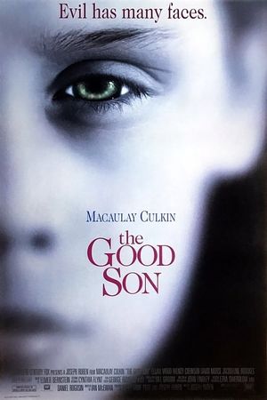 The Good Son's poster