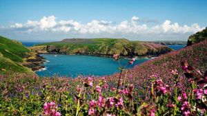 Wales: Great Britain's Wild West's poster