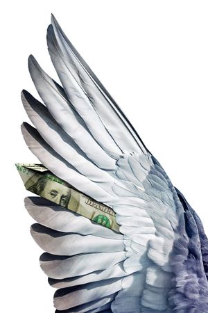Million Dollar Pigeons's poster