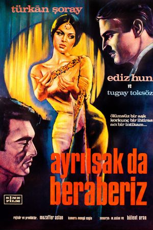 Ayrilsak da beraberiz's poster