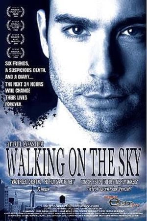 Walking on the Sky's poster