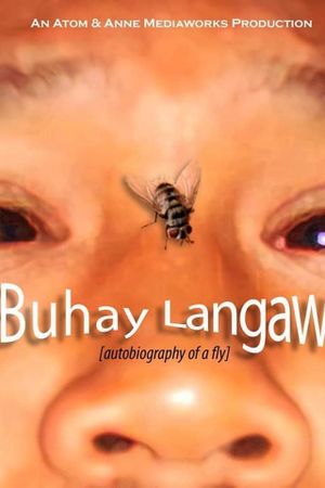 Autobiography of a Fly's poster