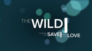 The Wild's poster