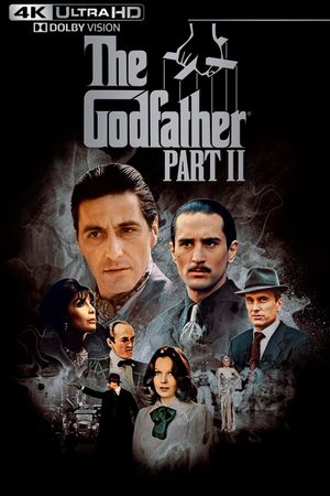 The Godfather Part II's poster