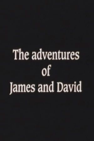 The Adventures of James and David's poster