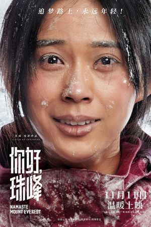 你好，珠峰's poster