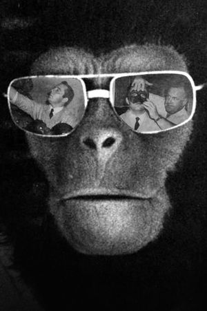 Making Apes: The Artists Who Changed Film's poster