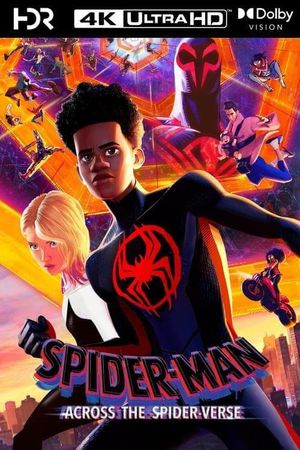 Spider-Man: Across the Spider-Verse's poster