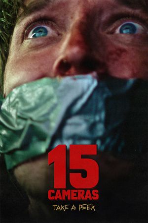 15 Cameras's poster