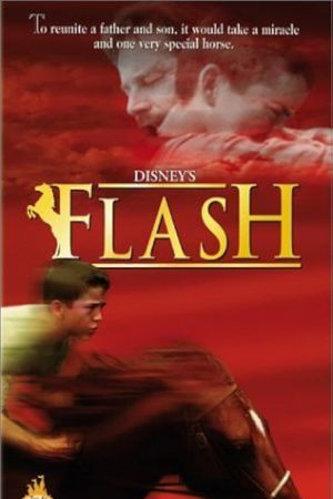 Flash's poster