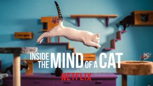 Inside the Mind of a Cat's poster
