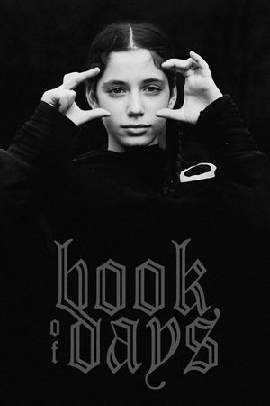 Book of Days's poster