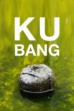 Kubang's poster