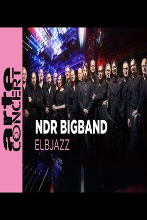 NDR Bigband feat. Lenine & Martin Fondse: The Bridge Elbjazz Festival 2024's poster