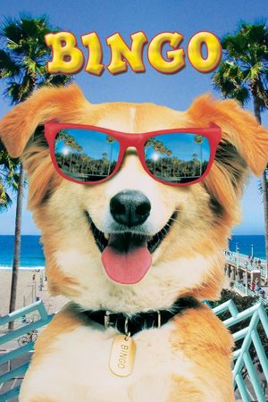 Bingo's poster