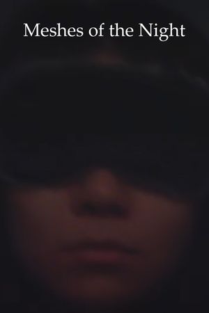 Meshes Of The Night's poster