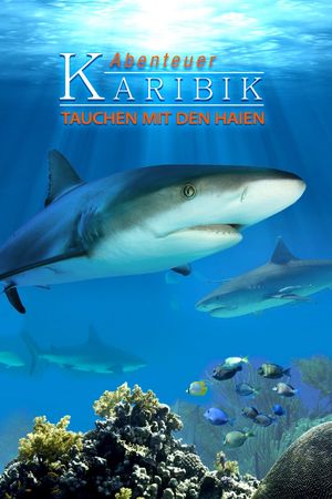 Adventure Caribbean 3D: Diving With Sharks's poster