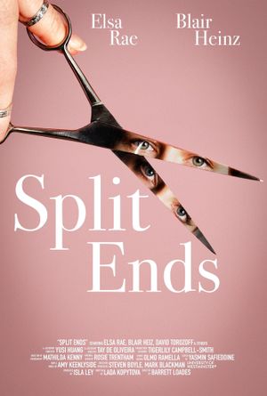 Split Ends's poster