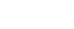 Men in Black II's poster