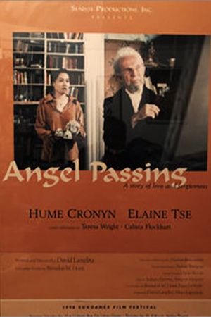 Angel Passing's poster