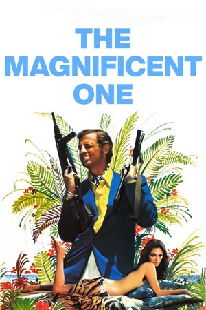 Le Magnifique's poster