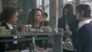 The Craft's poster