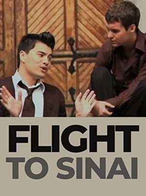Flight to Sinai's poster