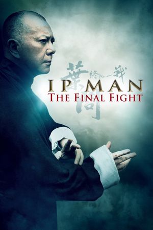 Ip Man: The Final Fight's poster image
