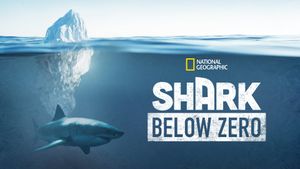 Shark Below Zero's poster