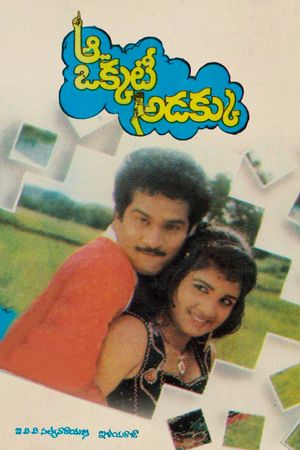 Aa Okkati Adakku's poster