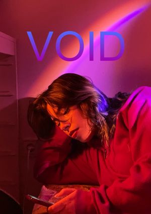 Void's poster