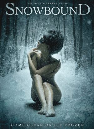Snowbound's poster