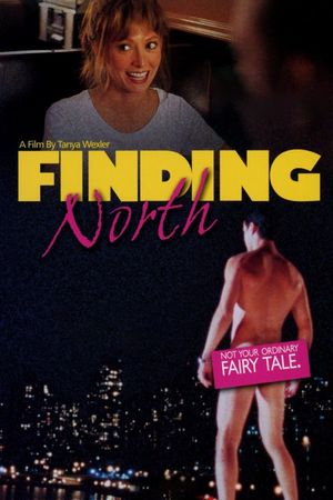 Finding North's poster