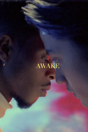 Awake's poster