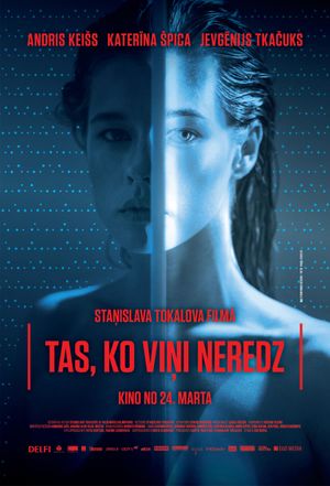 What Nobody Can See's poster