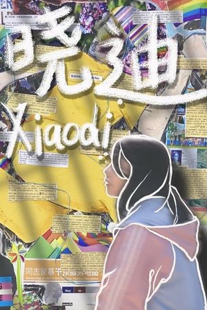 Xiaodi's poster