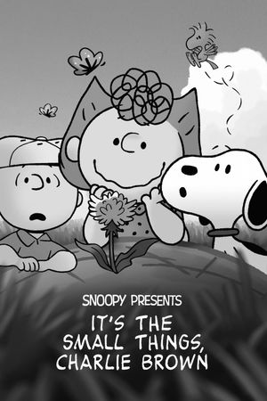 Snoopy Presents: It's the Small Things, Charlie Brown's poster