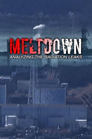 Meltdown:  Analyzing the Radiation Leaks's poster