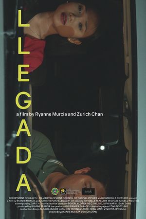 Llegada's poster