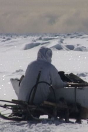 Seal Hunt's poster