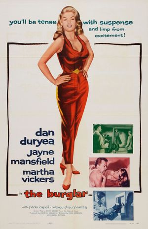 The Burglar's poster