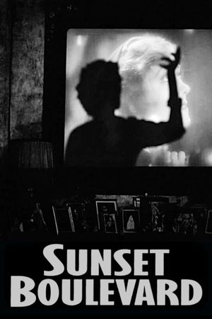 Sunset Boulevard's poster