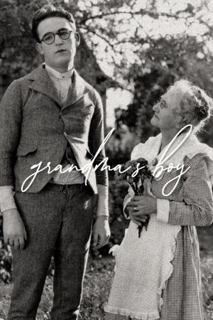 Grandma's Boy's poster