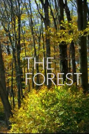 The Forest's poster