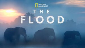 The Flood's poster