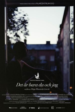 Det är bara du och jag's poster