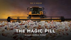 The Magic Pill's poster